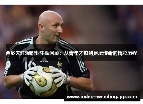 西多夫辉煌职业生涯回顾:从青年才俊到足坛传奇的精彩历程 西多夫辉煌职业生涯回顾:从青年才俊到足坛传奇的精彩历程