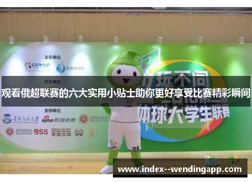 观看俄超联赛的六大实用小贴士助你更好享受比赛精彩瞬间