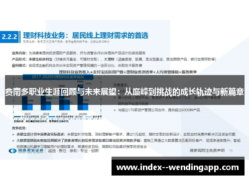 费南多职业生涯回顾与未来展望：从巅峰到挑战的成长轨迹与新篇章