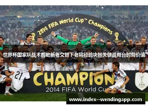 世界杯国家队战术前瞻新老交替下老将经验决胜关键战舞台时刻价值