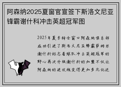 阿森纳2025夏窗官宣签下斯洛文尼亚锋霸谢什科冲击英超冠军图
